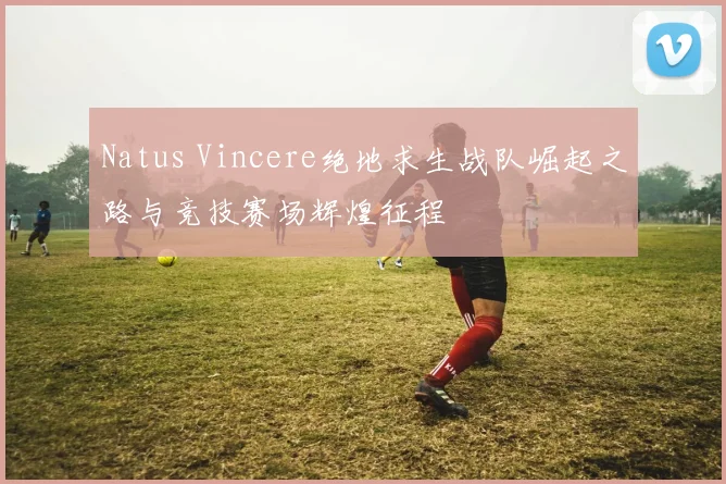 Natus Vincere绝地求生战队崛起之路与竞技赛场辉煌征程