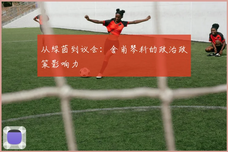 从绿茵到议会：舍甫琴科的政治政策影响力