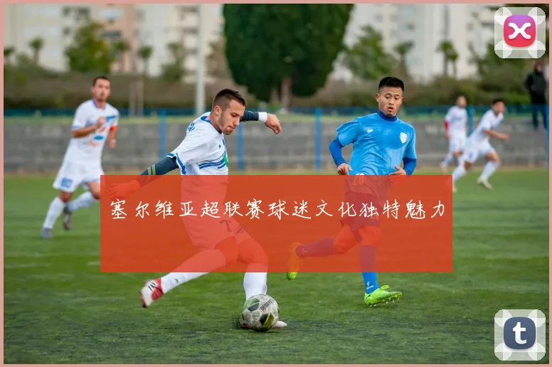 塞尔维亚超联赛球迷文化独特魅力