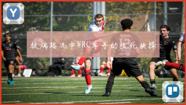 极端路况中WRC车手的生死抉择