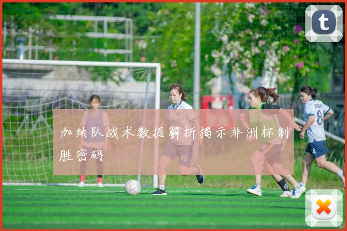 加纳队战术数据解析揭示非洲杯制胜密码