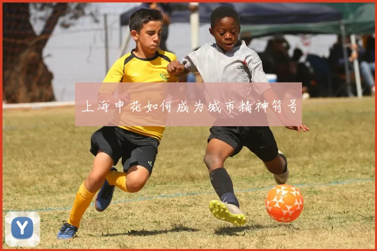 上海申花如何成为城市精神符号