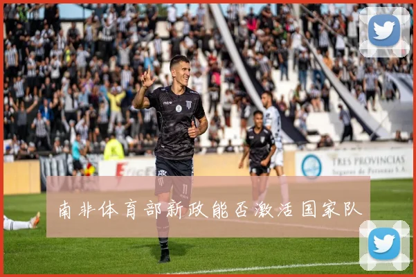 南非体育部新政能否激活国家队